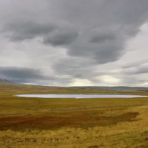 Pond, Iceland. Creator: Tom Artin