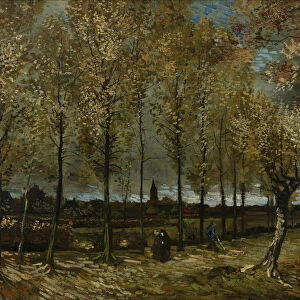Poplars near Nuenen, 1885. Artist: Gogh, Vincent, van (1853-1890)
