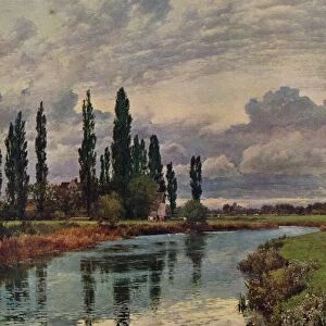 Poplars in the Thames Valley, c19th century, (1938). Artist: Alfred William Parsons