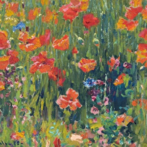Poppies, 1888. Artist: Vonnoh, Robert William (1858-1933)