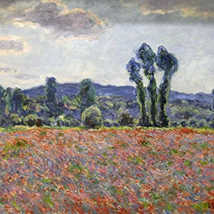 Poppy Field, 1887. Artist: Claude Monet
