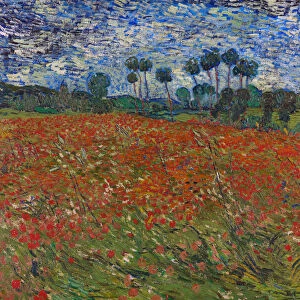 Poppy field, 1890. Artist: Gogh, Vincent, van (1853-1890)