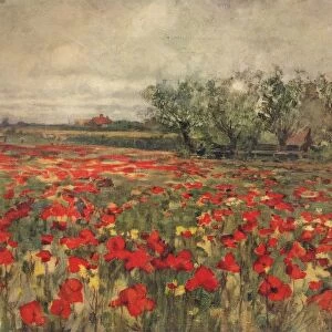 The Poppy Field, c1900, (c1915). Artist: George Hitchcock