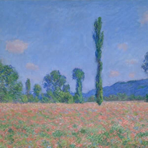 Poppy Field (Giverny), 1890 / 91. Creator: Claude Monet
