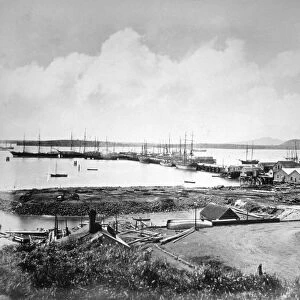 The port, Auckland, New Zealand, c1870-1880