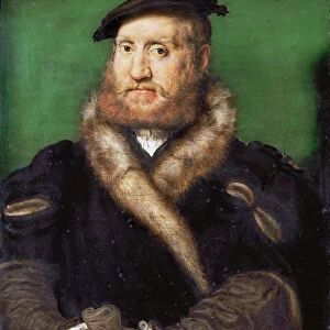 Portrait of a bearded man with fur coat