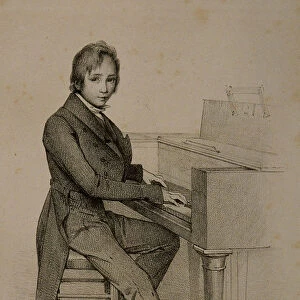 Portrait of the composer Franz Liszt (1811-1886)