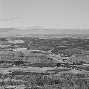 Possibly: Looking down on part of the Valley, approximately six miles from Yakima, Washington, 1939. Creator: Dorothea Lange