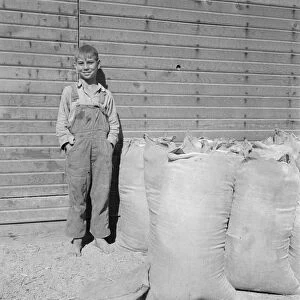 Possibly: One of the younger Cleaver boys on new farm in Malheur County, Oregon, 1939. Creator: Dorothea Lange