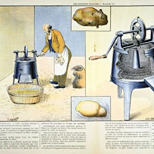 Potato peeler, 1899