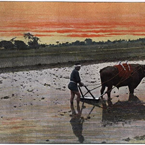Preparation of a Rice Plantation in Japan, c1890. Artist: Charles Gillot
