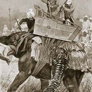 The Prince of Wales on a tiger hunt during his visit to India, 1876 (1901). Artist