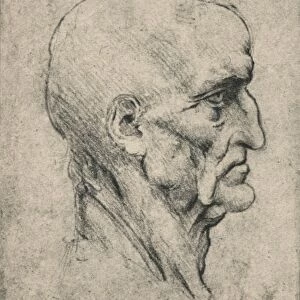 Profile to the Right of an Elderly Bald Man, c1480 (1945). Artist: Leonardo da Vinci