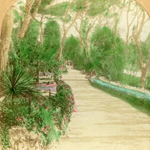 Promenade, Alameda Garden, Rock of Gibraltar, 1896. Creator: Keystone View Company