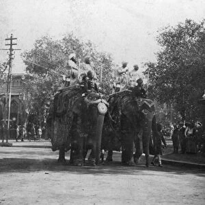 A Punjabi princess riding an elephant in a procession, Delhi, India, 1900s. Artist: H Hands & Son