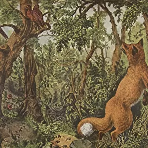 The Puzzled Fox, pub. 1872, Currier & Ives (Colour Lithograph)
