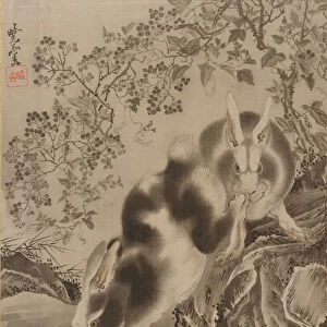 Rabbits, ca. 1887. Creator: Kawanabe Kyosai