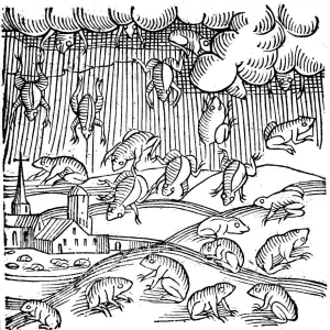 Rain of frogs recorded in 1355 (1557)