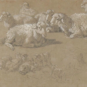 Reclining Sheep in a Landscape, 1759-82. Creator: Francesco Londonio