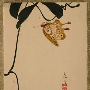 Red Berry Plant and Butterfly. Creator: Shibata Zeshin