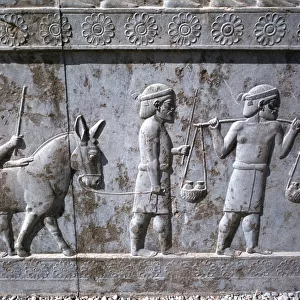 Relief of Indians, the Apadana, Persepolis, Iran