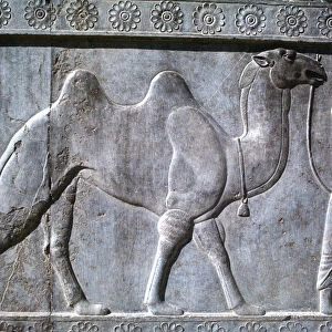 Relief of Parthians, the Apadana, Persepolis, Iran