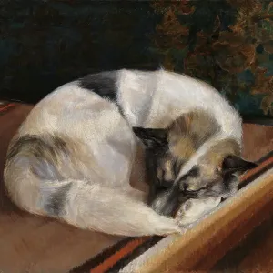 Reposing Dog, 1894. Creator: Sigrid Granfelt