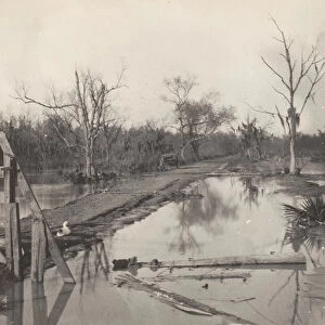 Road Through Flooded Land, 1890s-1900s. Creator: Morgan Whitney