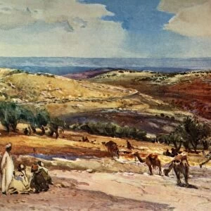 On the Road from Jerusalem to Bethany, 1902. Creator: John Fulleylove