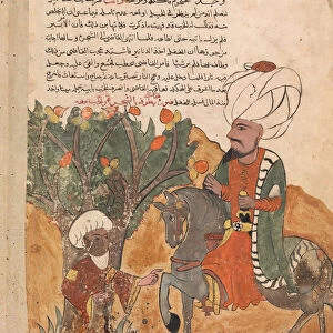 The Rogues Father Emerges from the Tree, Folio from a Kalila wa Dimna, 18th century