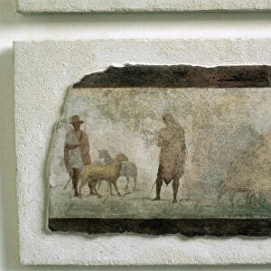 Roman farmers with sheep