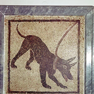 Roman mosaic of dog, Cave Canem, Pompeii, Italy
