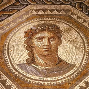 Roman Mosaic of the Season Summer at Museum of Pagan Art, Arles, France, c1st-2nd century