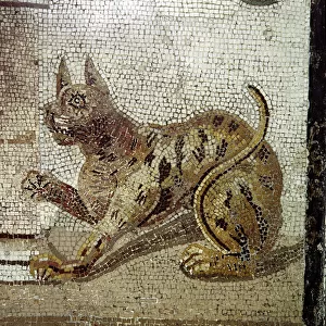 Detail from Roman mosaic showing a cat, Pompeii, Italy