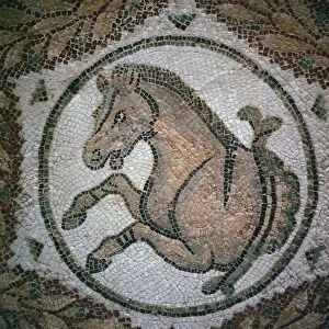Detail of a Roman mosaic showing the head of a horse, 4th century