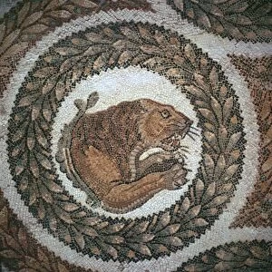 Detail of a Roman mosaic showing the head of a lion, 4th century