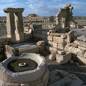 Roman olive presses in the city of Sufetula