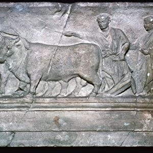 Roman relief showing the ritual plowing of the boundaries of a new city