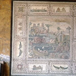 Rome Mosaic of Animals drinking, c3rd-5th century