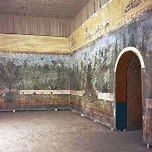 Room decoration in Livias villa, Prima Porta, Rome, late 1st century