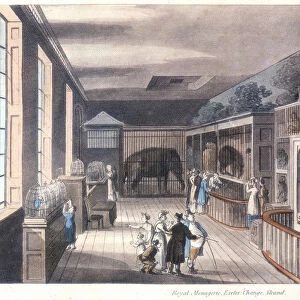 Royal Menagerie, Exeter Change, Strand, London, c1820
