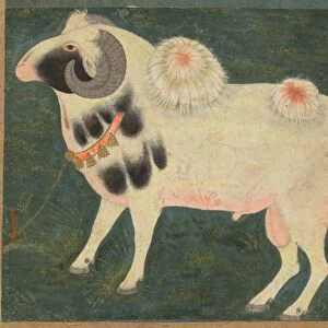 A royal ram with a gold chain, c. 1585; border added probably 1700s. Creator: Unknown