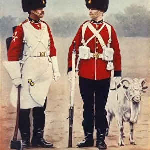 The Royal Welsh Fusiliers, 1901. Creator: Gregory & Co