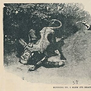 Running Up. I Blew Its Brains Out, 1892. Artist: Sidney E Paget