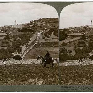 Samaria, south-west Palestine, 1900s. Artist: Underwood & Underwood