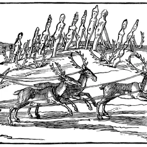 Samoyed travelling on a sleigh pulled by reindeer, late 16th-early 17th century