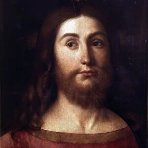 The Saviour oil on canvas by Giovanni Bellini
