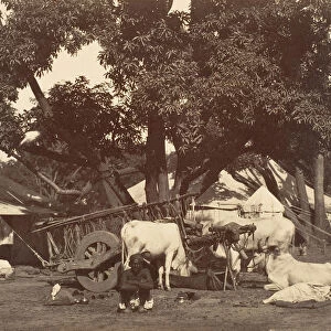 Scene in Camp] 1858-61. Creator: Unknown