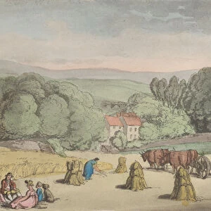 The Seat of M. Mitchell Esq. Hengar, Cornwall, from Sketches from Nature"