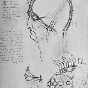 Sections of a Mans Head Showing the Anatomy of the Eye, Etc. c1480 (1945). Artist: Leonardo da Vinci